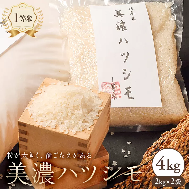 美濃ハツシモ　１等米 4kg（2kg×2袋）　0021-006