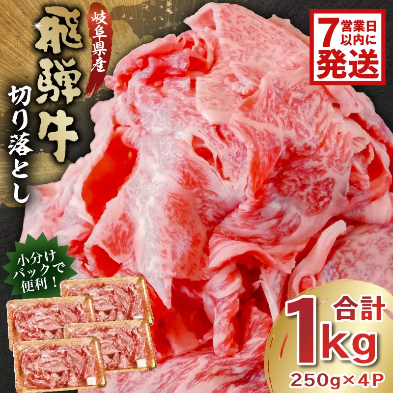 【7営業日以内発送】飛騨牛切り落とし1kg（250g×4）　0016-019