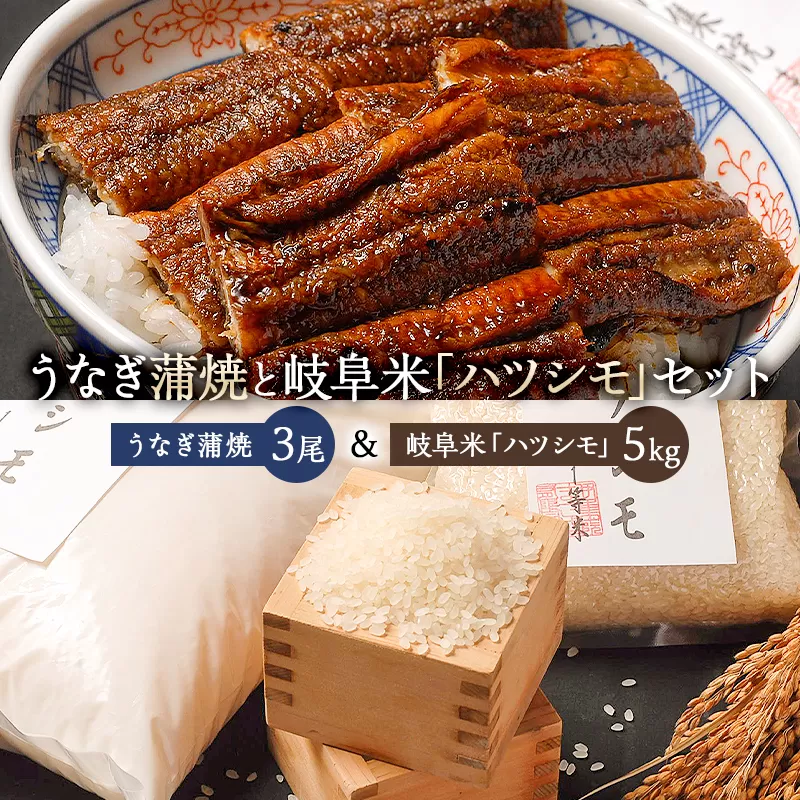 「炭かおる地焼き　うなぎ蒲焼（たれ付）3尾」と「岐阜米ハツシモ1等米 5kg」のセット　0021-014