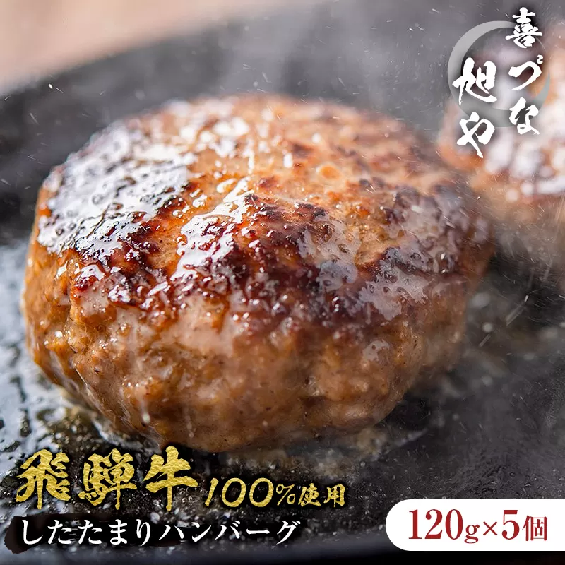 喜づな旭や　飛騨牛100％したたまりハンバーグ　120g×5個　0092-004