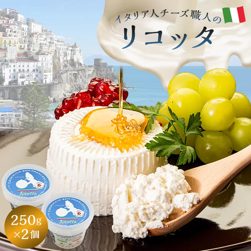 リコッタ Ricotta 250g 2個セット　0073-001