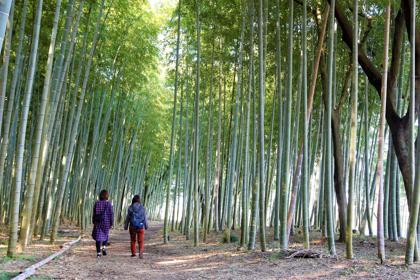 癒しの空間「木曽川」応援