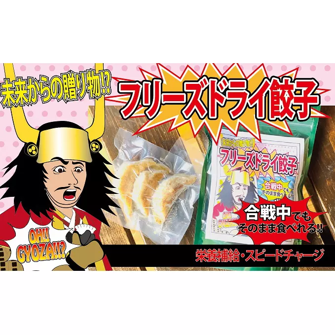 【未来からの贈り物!?】合戦中でもそのまま食べれるフリーズドライ餃子