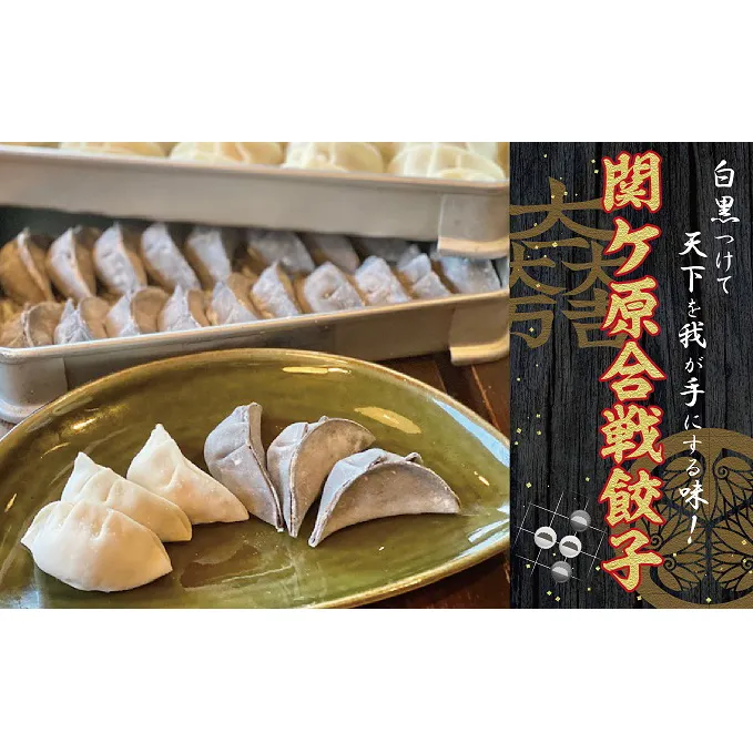 【関ケ原産ふわりもち使用】関ケ原合戦餃子（黒餃子・白餃子各25個入り）