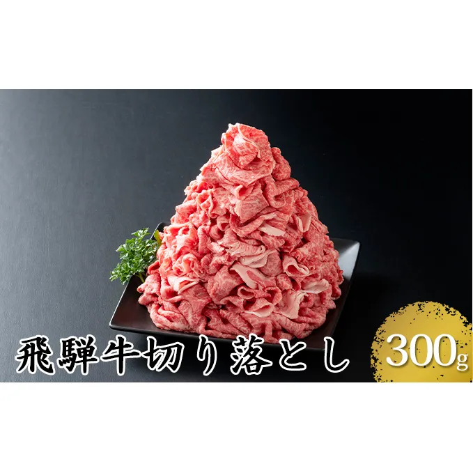 飛騨牛切り落とし300g（5等級・冷凍）