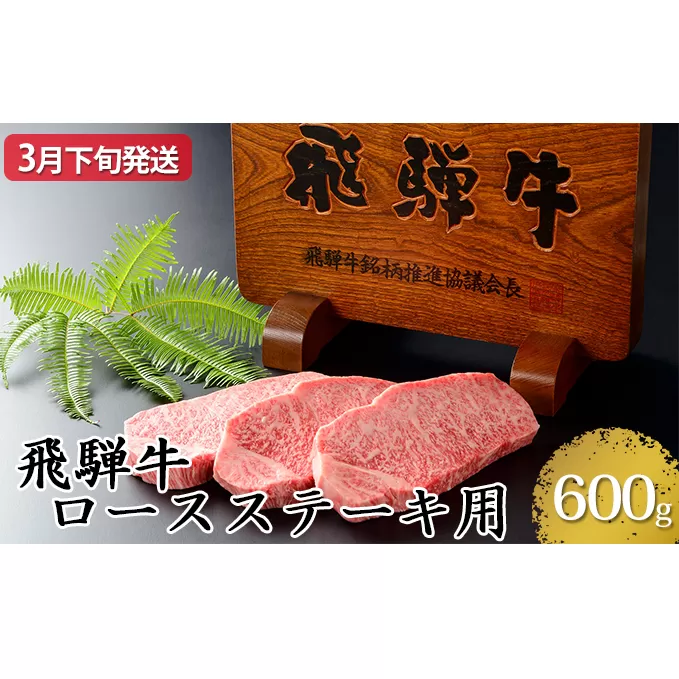 【3月下旬発送】飛騨牛ロースステーキ用600g（5等級・冷凍）