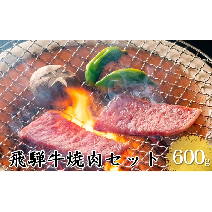 飛騨牛焼肉セット600g（5等級・冷凍）