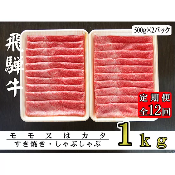 【12ヶ月定期便】A5ランク飛騨牛赤身肉スライス1kg（モモ又はカタ）