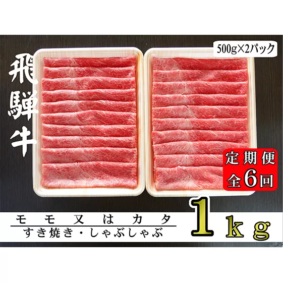 【6ヶ月定期便】A5ランク飛騨牛赤身肉スライス1kg（モモ又はカタ）