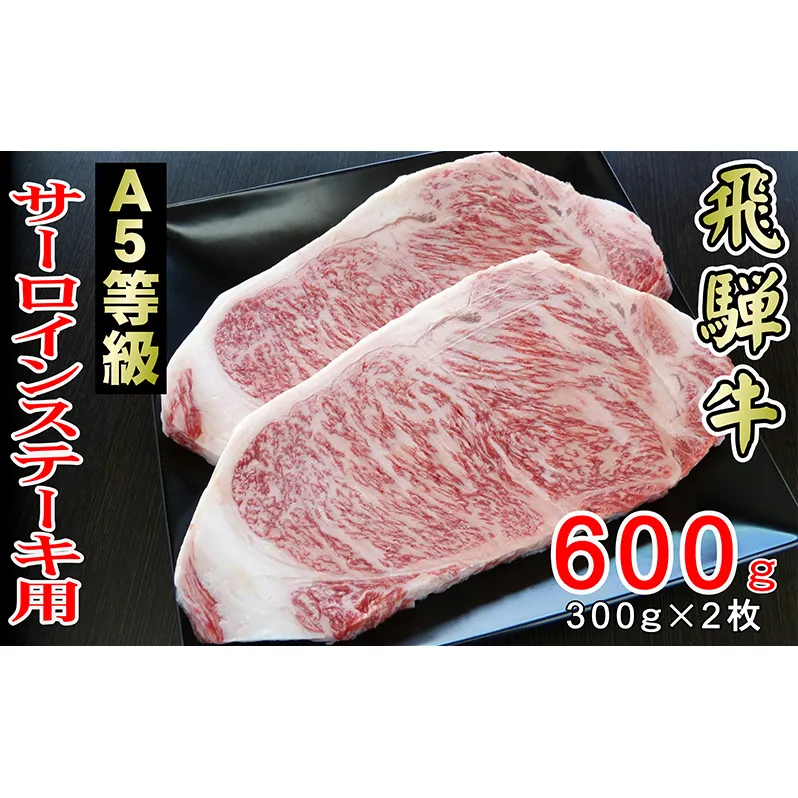 牛肉 飛騨牛 サーロイン ステーキ セット 600g（1枚 約300g×2枚） 黒毛和牛 Ａ5 美味しい お肉 牛 肉 和牛 サーロインステーキ 【岐阜県輪之内町】