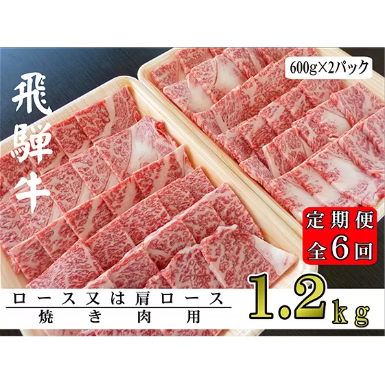 【6ヶ月定期便】A5ランク飛騨牛焼き肉1.2kg（ロース又は肩ロース）