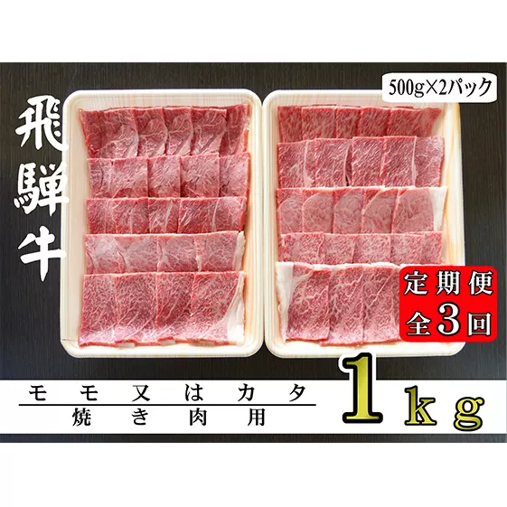 【3ヶ月定期便】A5ランク飛騨牛赤身肉焼き肉用1kg（モモ又はカタ）