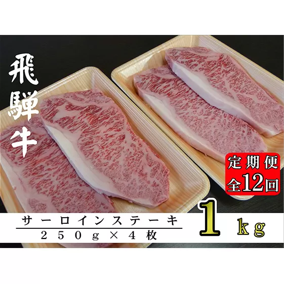 【12ヶ月定期便】A5ランク飛騨牛サーロインステーキ用1kg