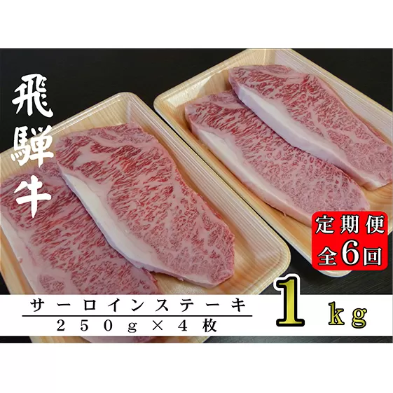 【6ヶ月定期便】A5ランク飛騨牛サーロインステーキ用1kg