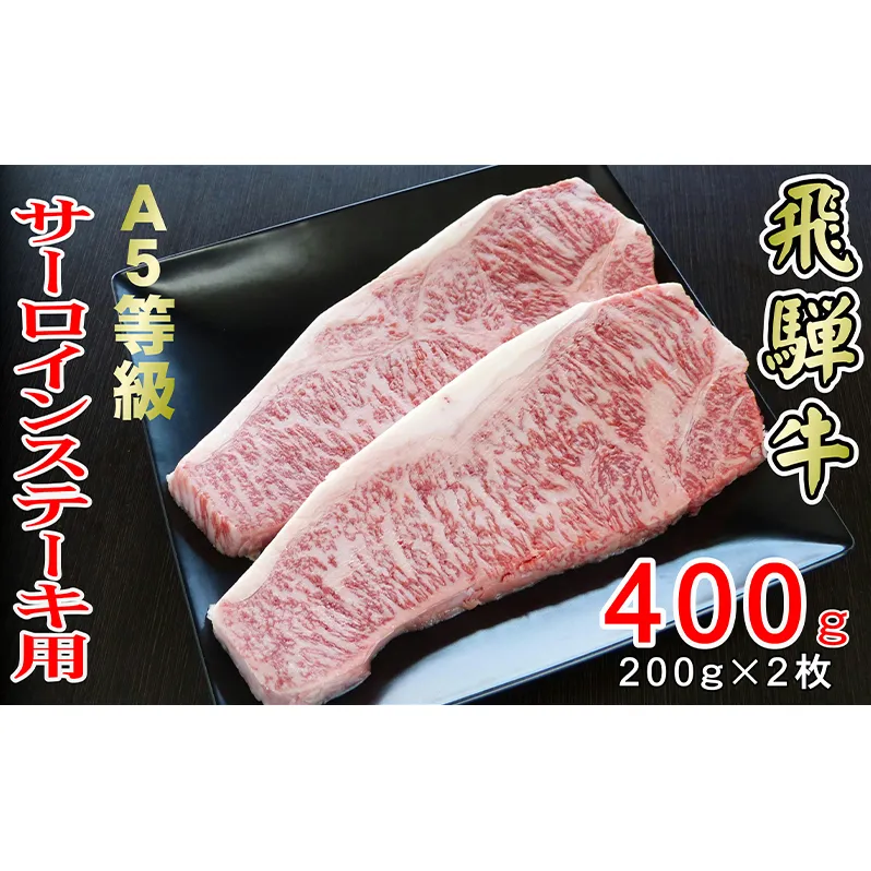 牛肉 飛騨牛 サーロイン ステーキ セット 400g（1枚 約200g×2枚） 黒毛和牛 A5 美味しい お肉 牛 肉 和牛 サーロインステーキ 【岐阜県輪之内町】