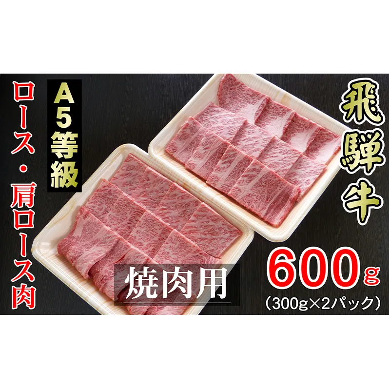 牛肉 飛騨牛 焼き肉 セット ロース 又は 肩ロース 600g 黒毛和牛 A5 美味しい お肉 牛 肉 和牛 焼肉 BBQ バーベキュー 【岐阜県輪之内町】