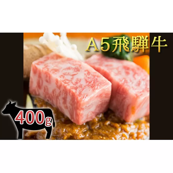 A5 飛騨牛ロースステーキ 2枚 400g