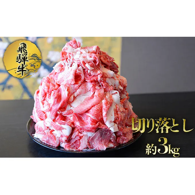 飛騨牛切り落とし約3kg（約500g×6パック）