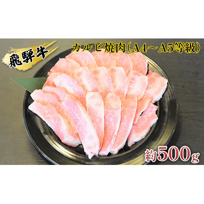 飛騨牛カルビ焼肉（A4～A5等級）約500g（約250g×2パック）