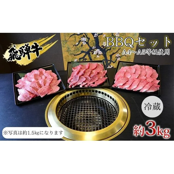 飛騨牛　BBQセット　約3kg　A4～A5等級使用 お肉 牛肉 国産 お家焼肉 バーベキュー カルビ 赤身 柔らかい モモ 霜降り 牛肉の女王様 ヒレ肉 旨味 真空パック 冷蔵 タレ付き 