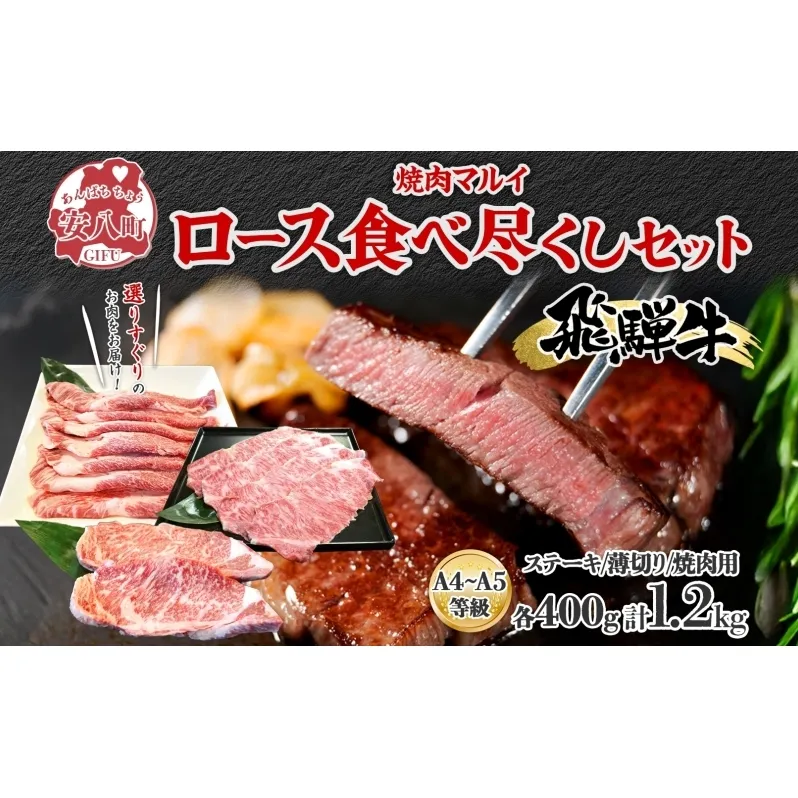 飛騨牛 ロース 食べつくし 約1.2kg  ステーキ 薄切り 焼肉用 各約400g A4ランク A5ランク お肉 牛肉 和牛 国産 ブランド牛 お家焼肉 バーベキュー BBQ 柔らかい 霜降り 旨み 真空パック 冷蔵 タレ付き 自家用 ギフト 送料無料 焼肉マルイ 岐阜県 安八町