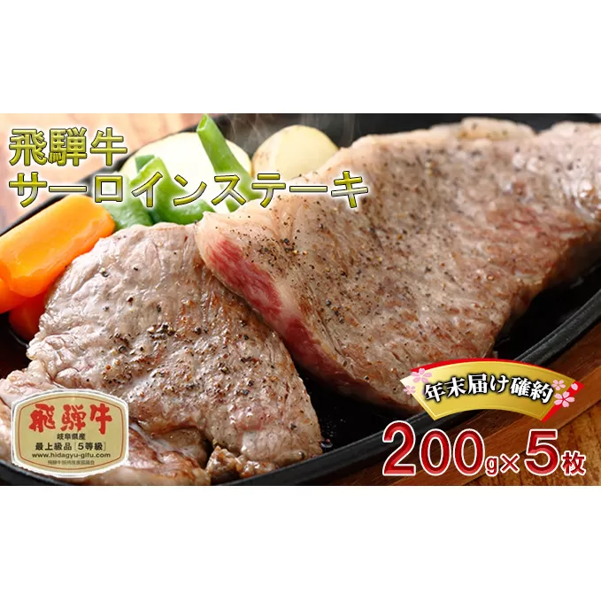 年末届け確約 飛騨牛 ステーキ サーロイン 200g×5枚 計1kg A5 牛肉 和牛