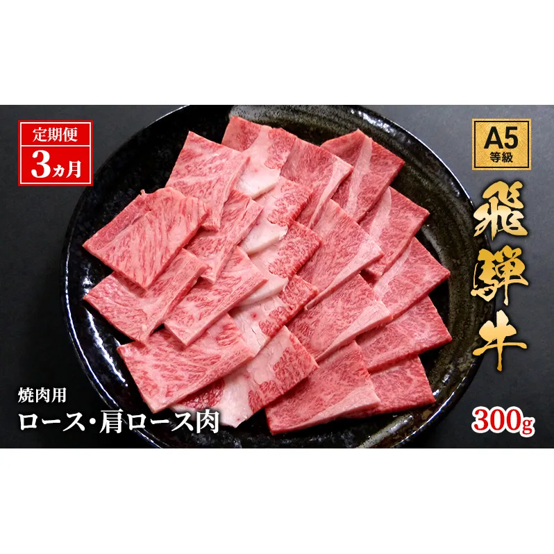 【定期便3ヶ月】牛肉 飛騨牛 焼き肉 セット ロース 又は 肩ロース 300g 黒毛和牛 Ａ5 美味しい お肉 牛 肉 和牛 焼肉 BBQ バーベキュー 【岐阜県池田町】