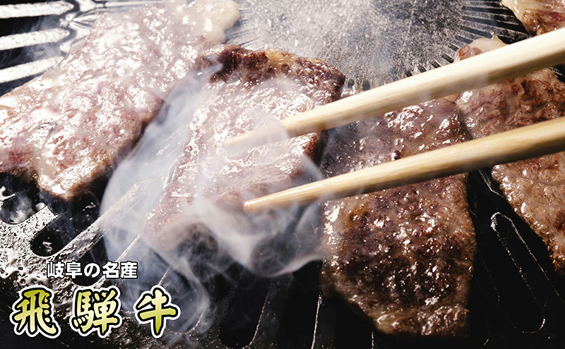 焼き肉やBBQに！飛騨牛入り国産肉５種 1kg 送料無料 4〜5人前 さくらポーク おう サイコロステーキ 焼肉 セット 国産 ブランド肉 牛肉 豚肉  鶏肉 お肉 バーベキュー ギフト 冷凍 プレゼント 贈答 産地直送 まると 地域産品 お買い物マラソン