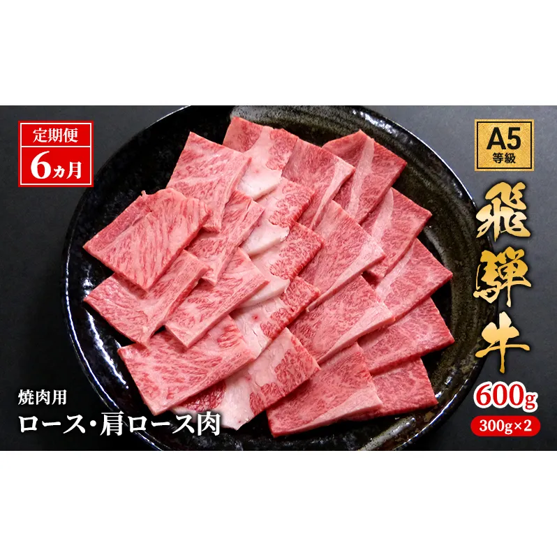 【定期便6ヶ月】牛肉 飛騨牛 焼き肉 セット ロース 又は 肩ロース 600g 黒毛和牛 Ａ5 美味しい お肉 牛 肉 和牛 焼肉 BBQ バーベキュー 【岐阜県池田町】