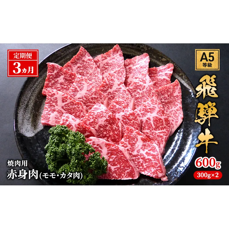 【定期便3ヶ月】牛肉 飛騨牛 焼き肉 セット 赤身 モモ 又は カタ 600g 黒毛和牛 Ａ5 美味しい お肉 牛 肉 和牛 焼肉 BBQ バーベキュー 【岐阜県池田町】