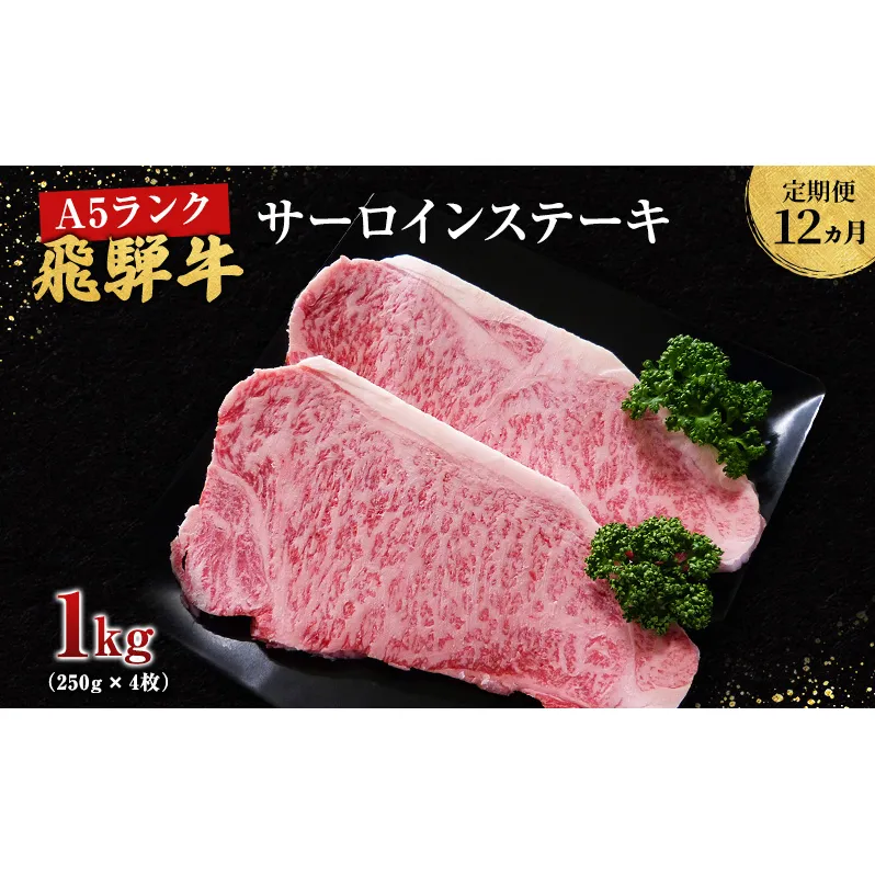 【定期便12ヶ月】牛肉 飛騨牛 サーロイン ステーキ セット 1kg （ 1枚 約250g × 4枚 ） 黒毛和牛 Ａ5 美味しい お肉 牛 肉 和牛 サーロインステーキ 【岐阜県池田町】