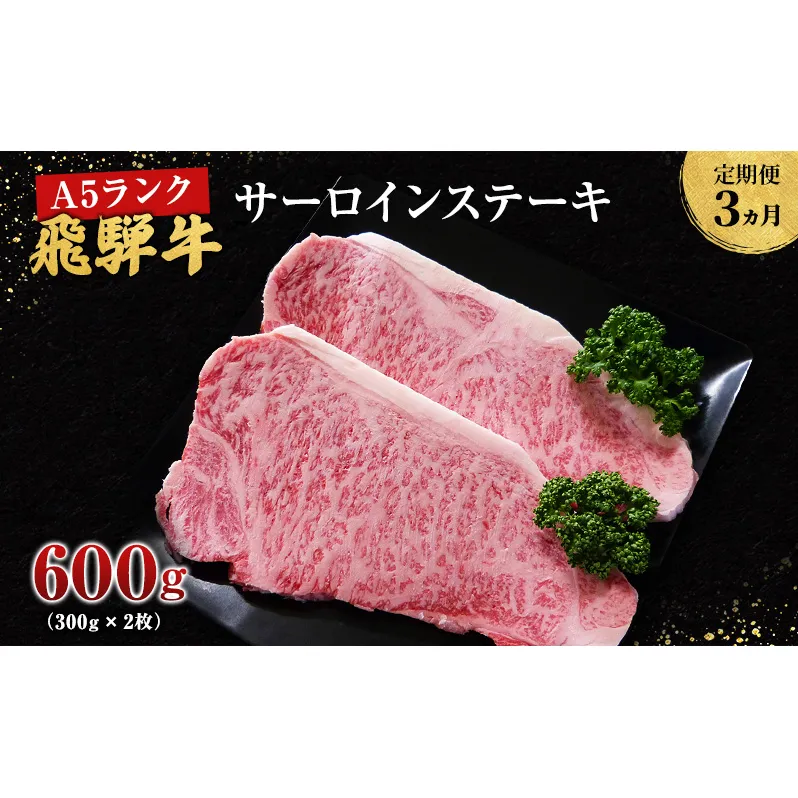 【定期便3ヶ月】牛肉 飛騨牛 サーロイン ステーキ セット 600g （ 1枚 約300g × 2枚 ） 黒毛和牛 Ａ5 美味しい お肉 牛 肉 和牛 サーロインステーキ 【岐阜県池田町】