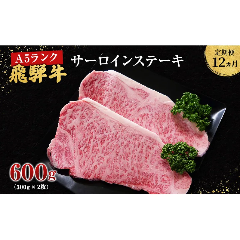 【定期便12ヶ月】牛肉 飛騨牛 サーロイン ステーキ セット 600g （ 1枚 約300g × 2枚 ） 黒毛和牛 Ａ5 美味しい お肉 牛 肉 和牛 サーロインステーキ 【岐阜県池田町】