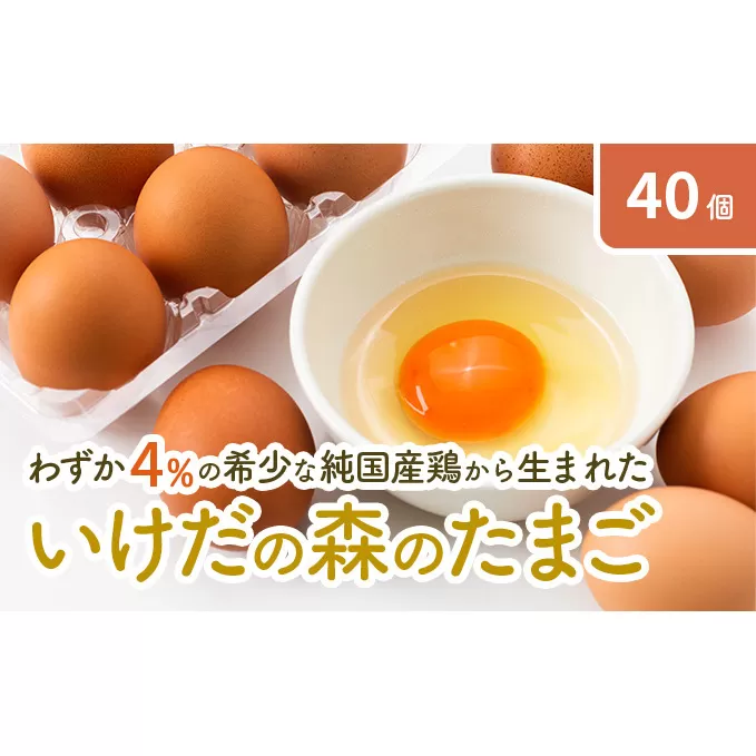 卵 わずか4%の希少な純国産鶏 いけだの森たまご 40個 こだわり おこめのたまご 玉子 鶏卵 生卵 産地直送 冷蔵配送 TKG 卵かけご飯 岐阜県産