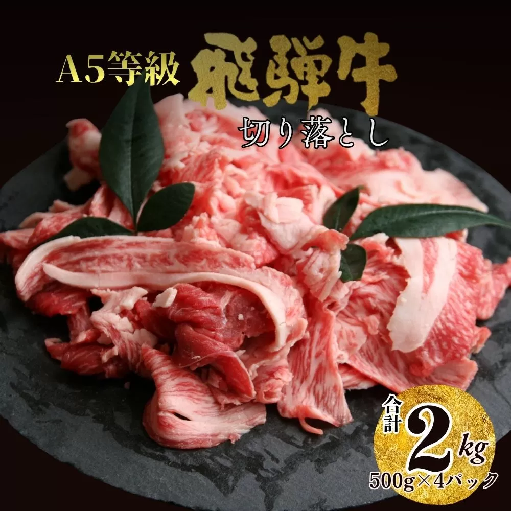 【46012】飛騨牛 肉 切り落とし ２kg 和牛 国産 冷凍 大容量 不揃い たっぷり