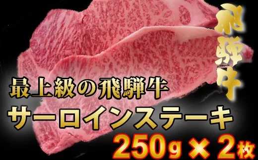 【60152】ステーキ用最上級飛騨牛サーロイン250ｇ×2