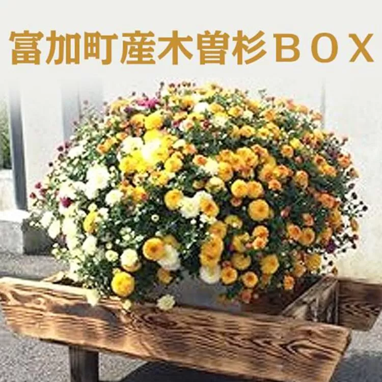 【37007】富加町産木曽杉ＢＯＸ（大）