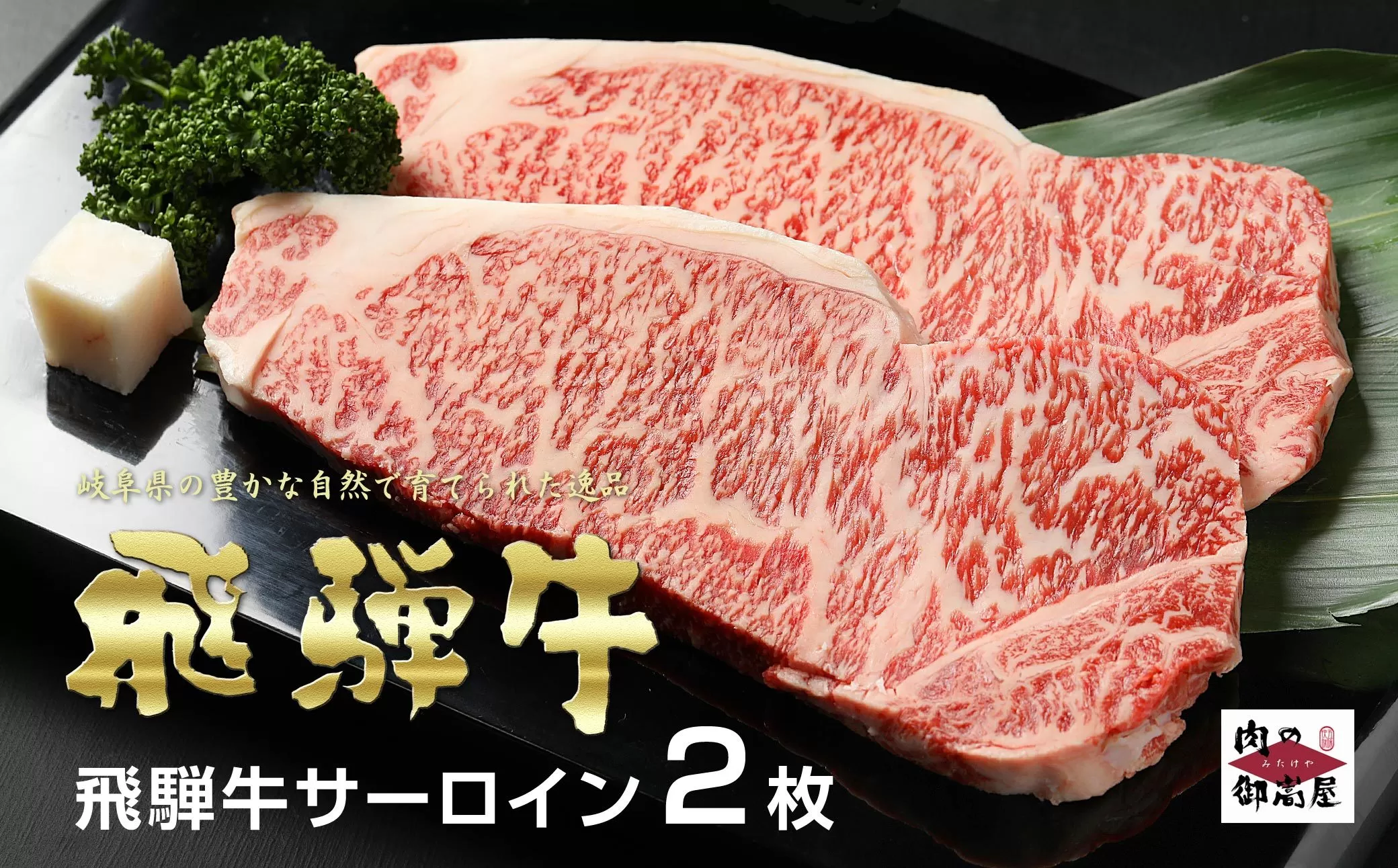 【冷蔵配送】飛騨牛 サーロインステーキ 250g 2枚 和牛 お肉 牛肉 A5 A4 焼肉 キャンプ アウトドア