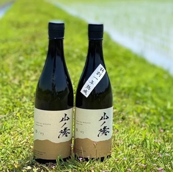 山ノ湊 熟成飲み比べセット 日本酒 地酒 熟成酒 ヴィンテージ 720mL 4合 2本