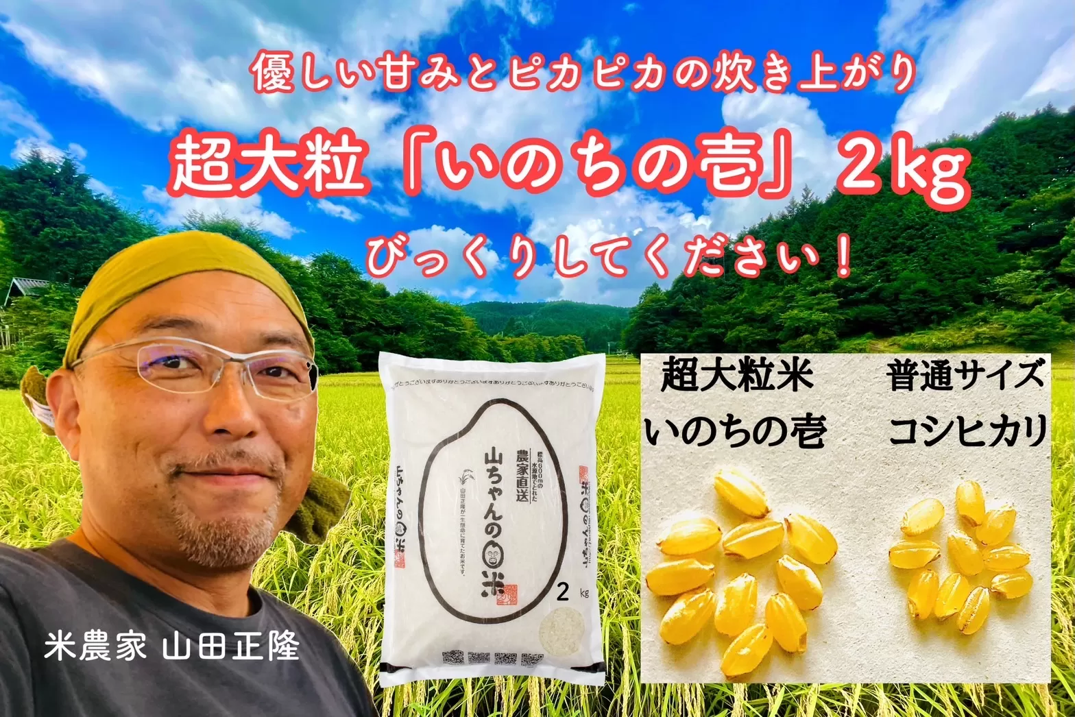 農家直送『山ちゃんの発芽玄米』1500g×2袋 計3kg お米 健康