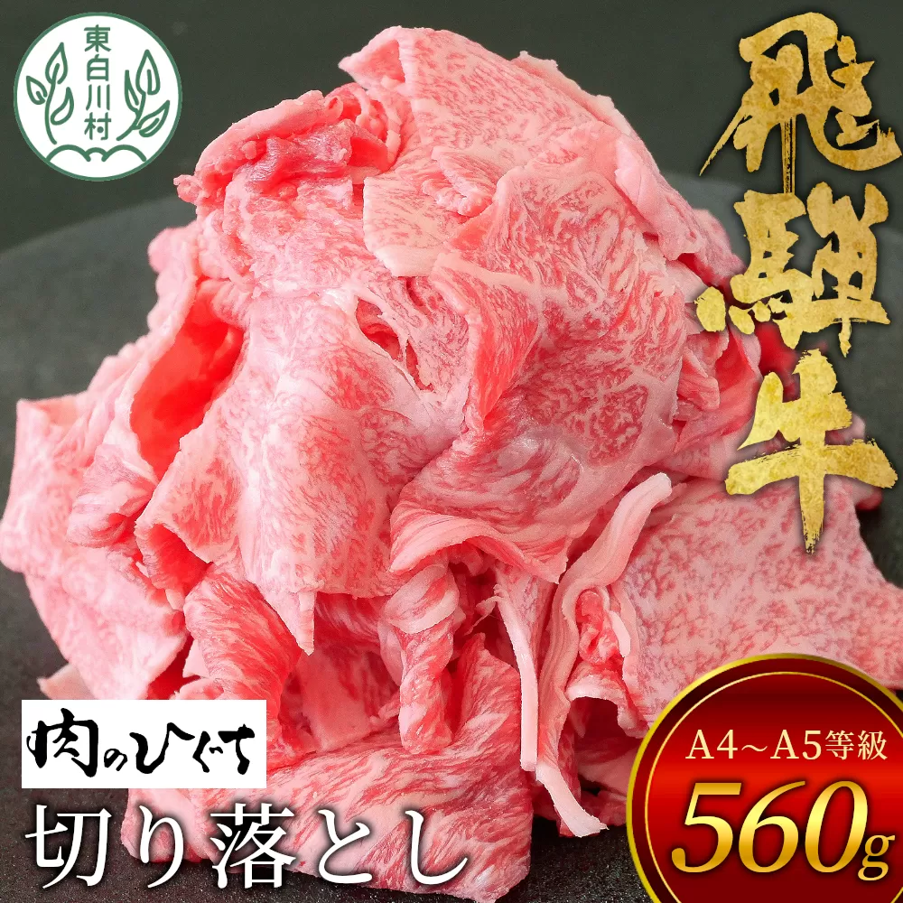 【1月発送】飛騨牛 切り落とし 560g A5 A4 国産 牛 冷凍 お試し 和牛 牛肉 切落し 切り落し 薄切り 訳あり 牛丼 すき焼き しゃぶしゃぶ 東白川村 岐阜 飛騨 贅沢 霜降り ロース バラ もも ウデ 肉のひぐち