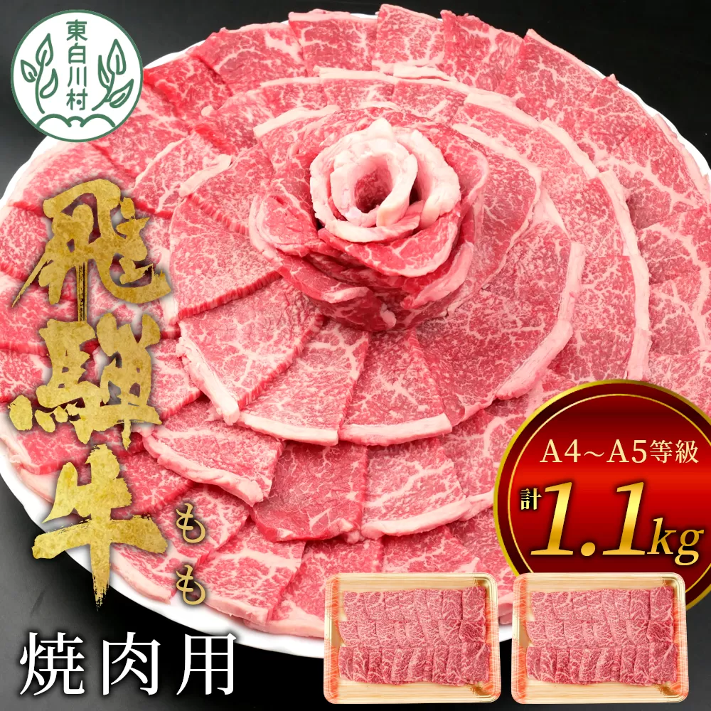 【1月発送】飛騨牛 もも 焼肉用 1.1kg 550g×2 A5 A4 国産 牛 冷凍 和牛 牛肉 もも肉 モモ 焼き肉 やきにく 赤身 ギフト 贈答 おすすめ BBQ バーベキュー キャンプ にく お肉 肉 東白川村 岐阜 飛騨 贅沢 霜降り 肉のひぐち