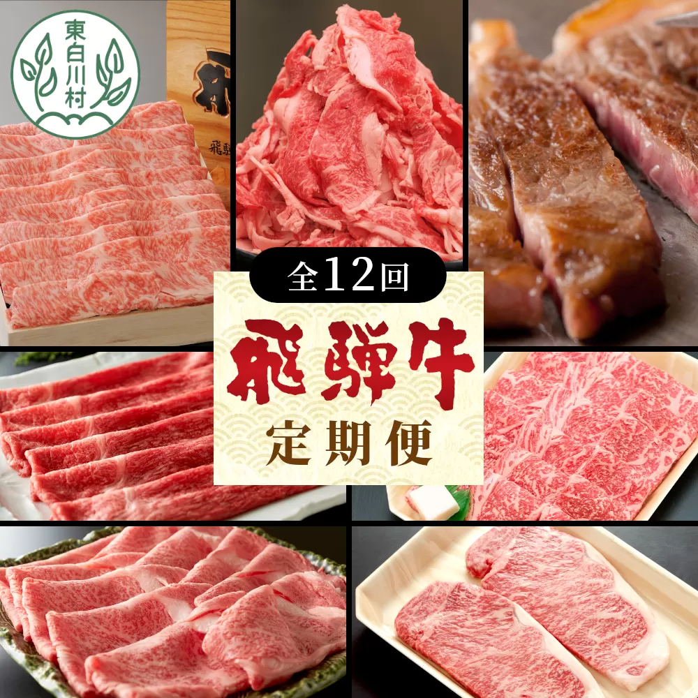 飛騨牛 定期便 全12回 A5等級すき焼き しゃぶしゃぶ ステーキ 焼肉 BBQ ロース カタロース ロースステーキ サーロインステーキ モモ カタ 切り落とし 贅沢 贈り物 12ヶ月 定期 1年 おすすめ 人気 飛騨 ブランド牛 牛肉 牛 肉 養老ミート