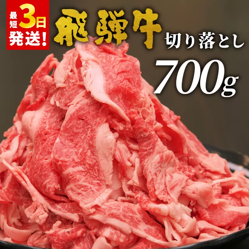 飛騨牛 切り落とし 700g  牛肉 和牛 肉 お肉 切落し 不揃い にく 切り落し 東白川村 ブランド牛 国産 人気 おすすめ 薄切り きりおとし 岐阜 すき焼き お取り寄せ 冷凍 養老ミート