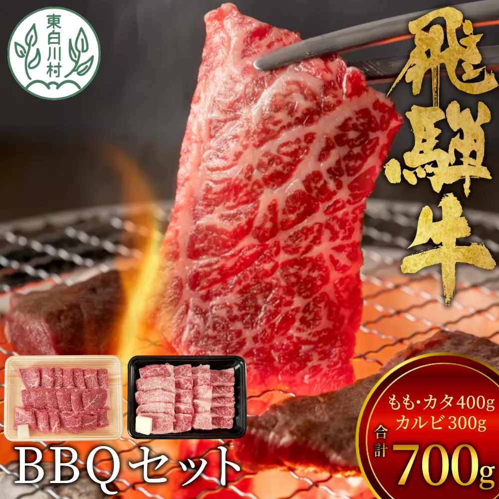 【1月発送】飛騨牛 BBQセット (カルビ300g＋もも・カタ焼肉用400g) 計700g A5 A4 国産 牛 冷凍 和牛 牛肉 カルビ もも モモ カタ 肩 かた 豪華 ギフト 贈答  にく お肉 肉 東白川村 岐阜 飛騨 贅沢 霜降り 赤身 肉のひぐち