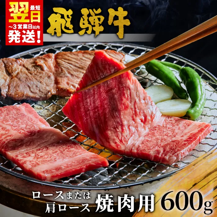 飛騨牛 ロースまたは肩ロース 焼肉用 600g 牛肉 和牛 肉 焼肉 BBQ ロース カタロース 肩ロース 東白川村 岐阜 贅沢 霜降り 養老ミート