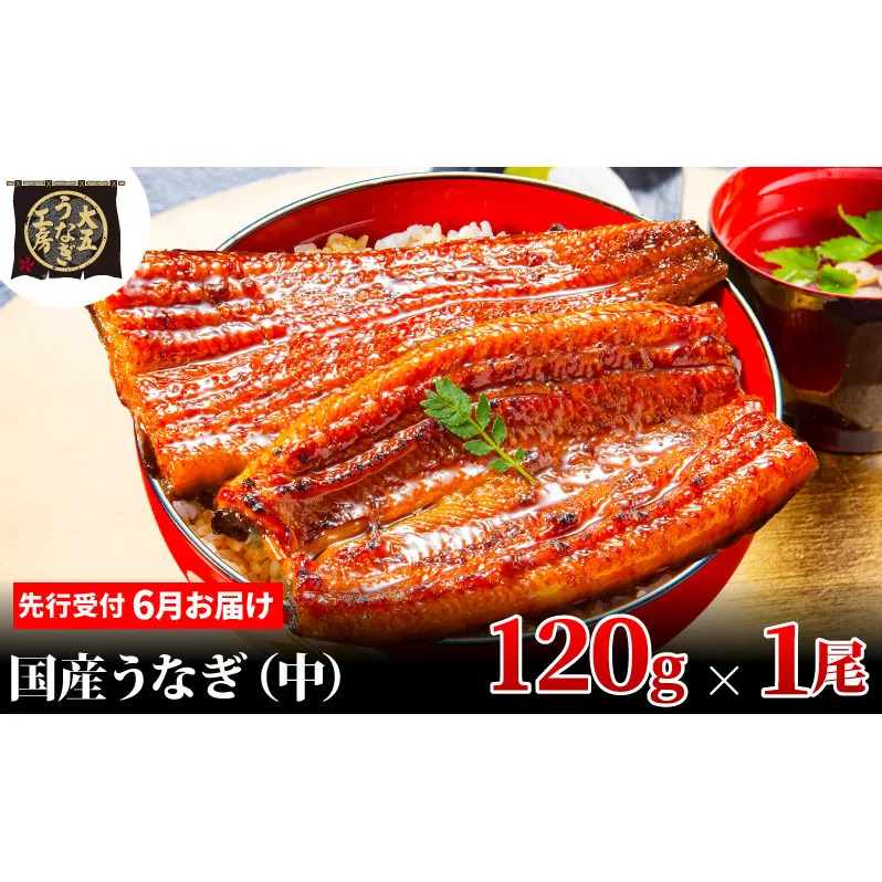 先行受付 【6月上旬配送】 うなぎ蒲焼 120g×1尾 うなぎ 鰻 蒲焼 蒲焼き 大五通商 静岡 島田市