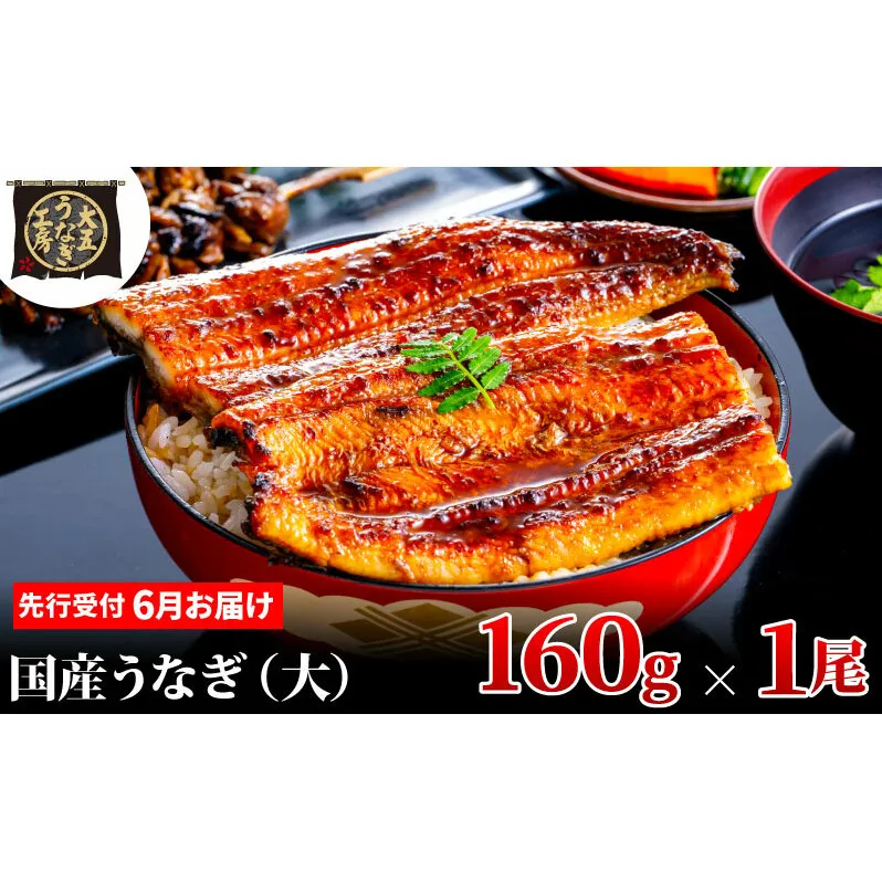 先行受付 【6月上旬配送】 うなぎ蒲焼 160g×1尾 うなぎ 鰻 蒲焼 蒲焼き 大五通商 静岡 島田市