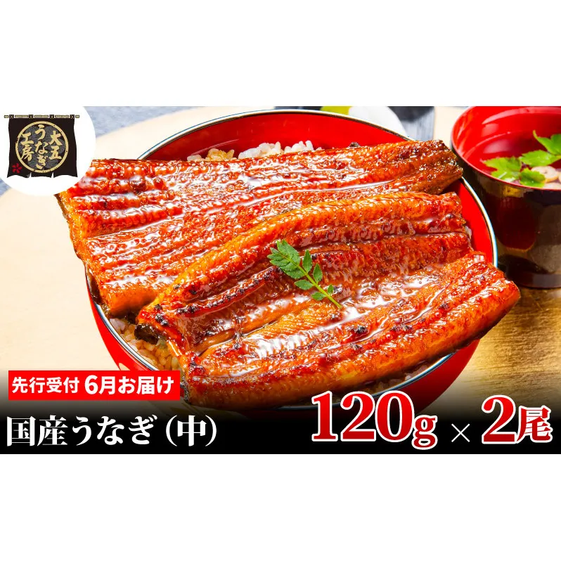 先行受付 【6月上旬配送】 うなぎ蒲焼 120g×2尾(240g) うなぎ 鰻 蒲焼 蒲焼き 大五通商 静岡 島田市