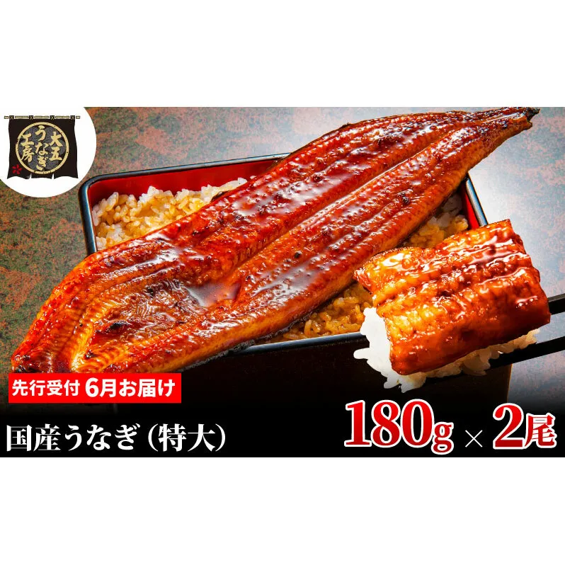 先行受付 【6月上旬配送】 うなぎ蒲焼 180g×2尾(360g) うなぎ 鰻 蒲焼 蒲焼き 大五通商 静岡 島田市